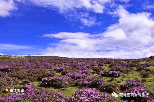 四川川藏环线去稻城亚丁,川藏之旅稻城亚丁