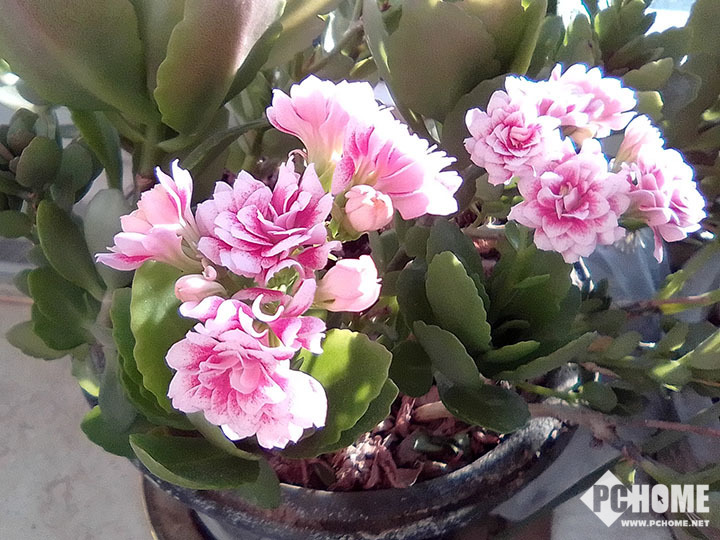 邦华t6评测,邦华t6价格