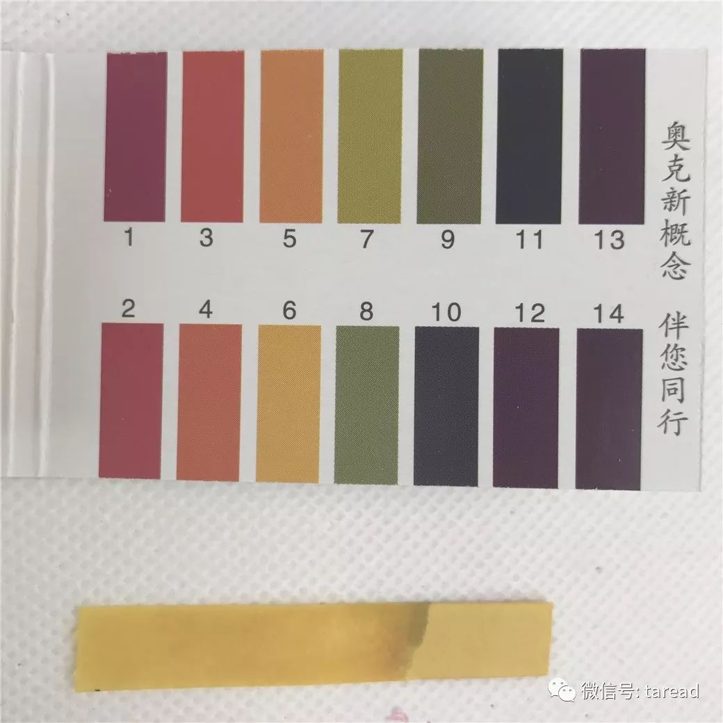 aminoacid氨基酸洁面乳国货,国货平价油皮洗面奶测评