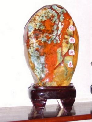 这才是真正的奇石,真正的奇石都是什么样子的