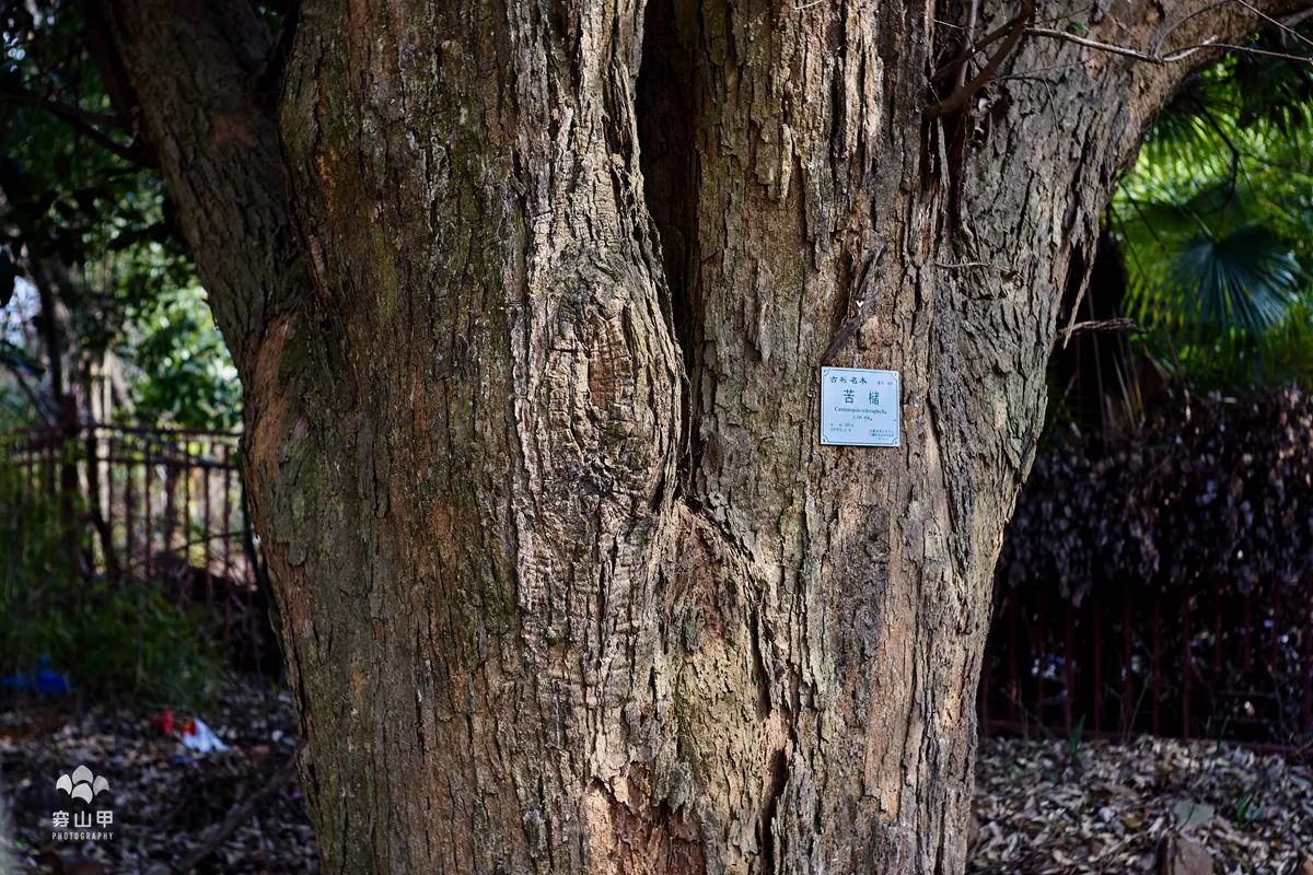 无锡江南古村,尧歌里古村入口景观工程