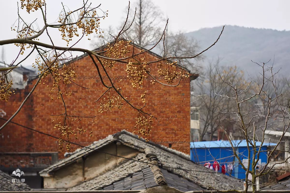 无锡千年古村尧歌里火了,无锡古村尧歌里在哪里