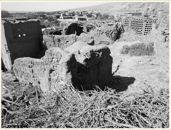 西行奇遇记完整视频,西行奇遇记