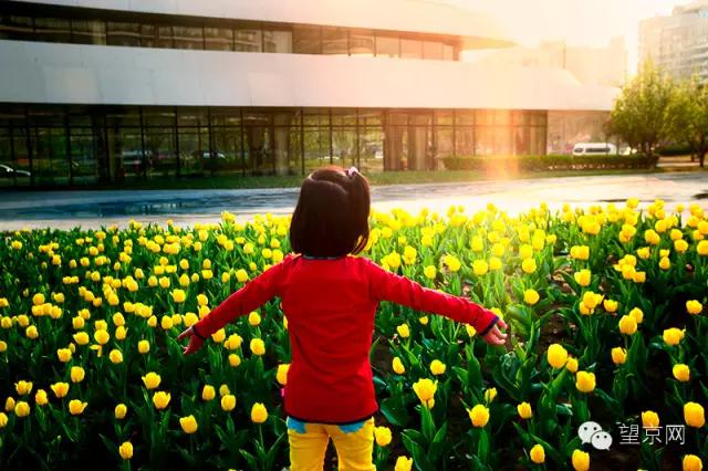 如果有人说“望京什么破地儿?”就把这条微信甩给他