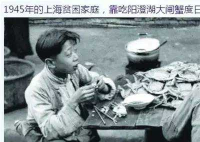 处方中的葛根是柴葛还是粉葛 (粉葛根与柴葛药效有什么区别)