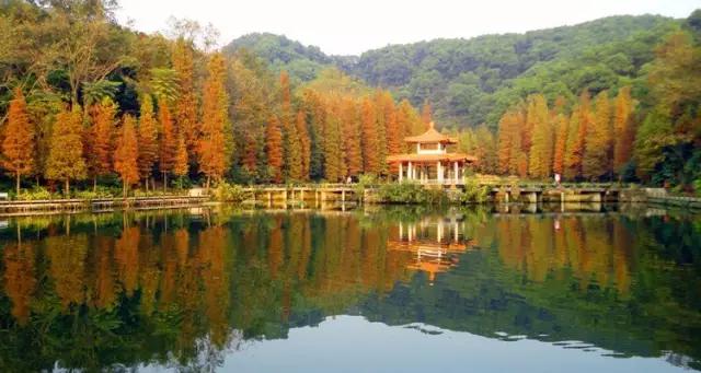 深圳最美的看海公园,深圳最美湖泊公园