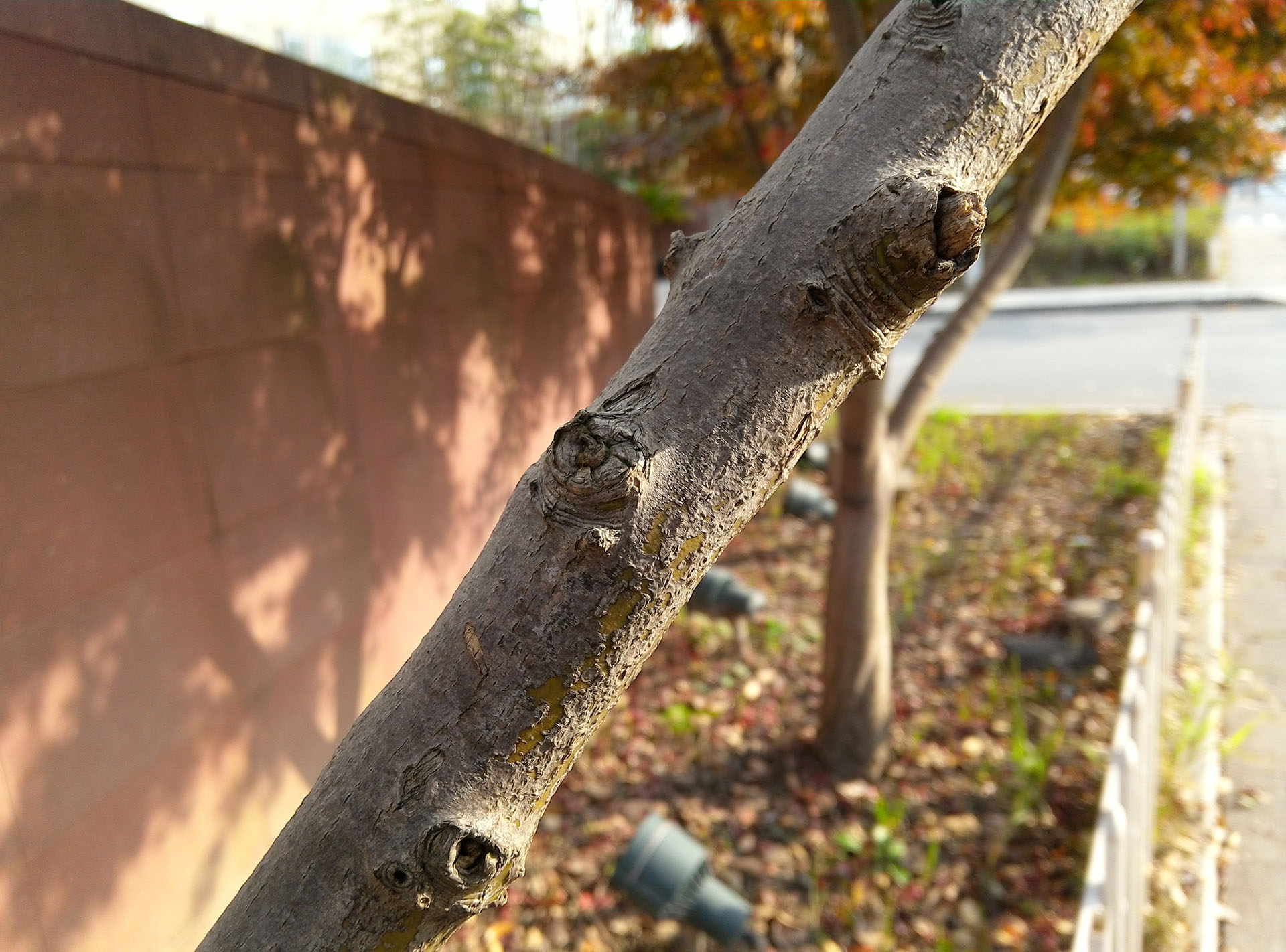 联想yogaduet2022款二合一平板,联想平板yogapadpro13英寸