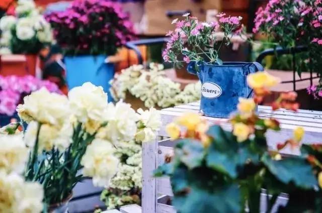 最美的旅游小岛,亚洲十大最美小岛