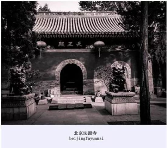 北京最好吃的素菜馆,北京斋菜素菜馆