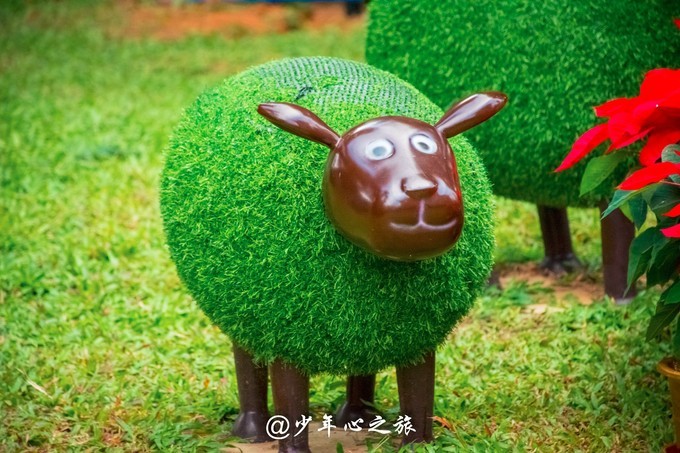 世界五大温泉胜地 (温泉旅游攻略全球六大最美温泉)