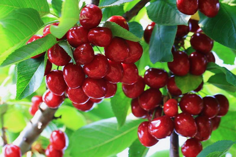 爱上旅顺这座城,爱上大连这座城市