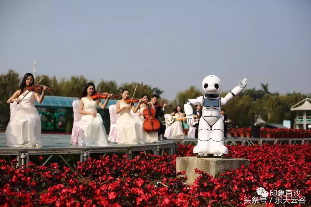 元旦南沙去哪里玩,南沙黄山鲁森林公园游玩攻略