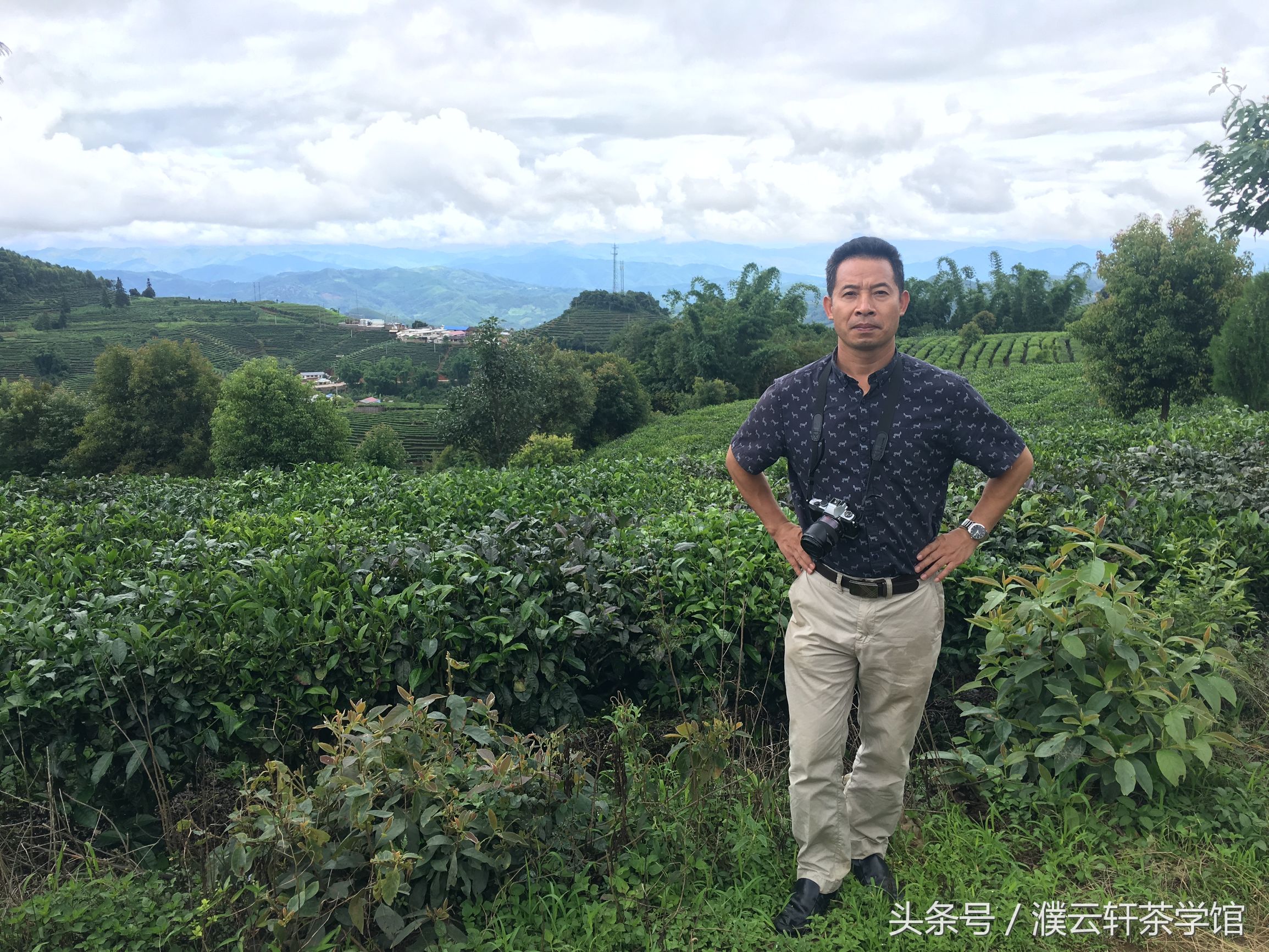 普洱茶的品鉴与评价,普洱茶值得品鉴的六大方面