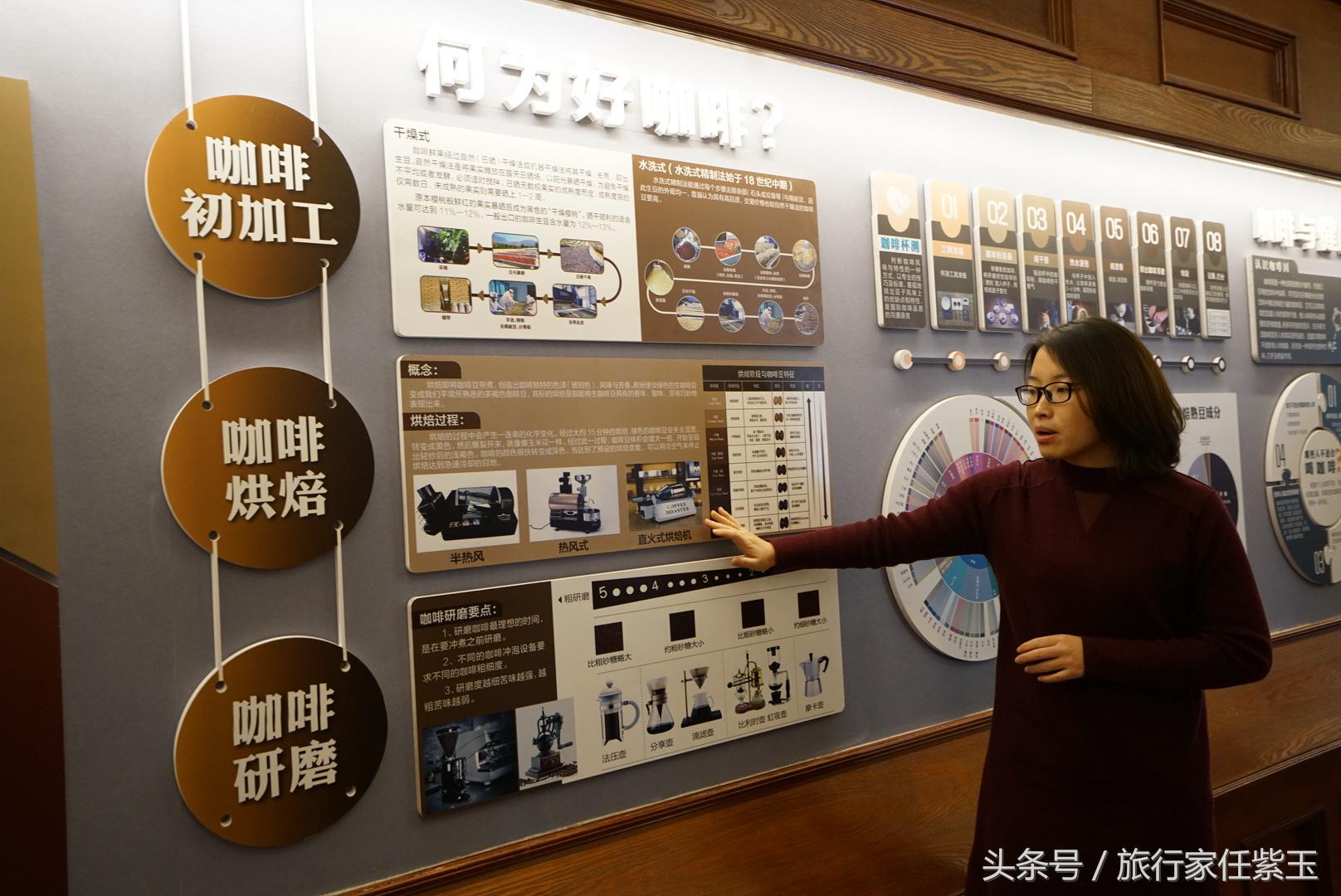 猫屎咖啡和普通咖啡有什么区别呢,猫屎咖啡和云南小粒咖啡哪个好