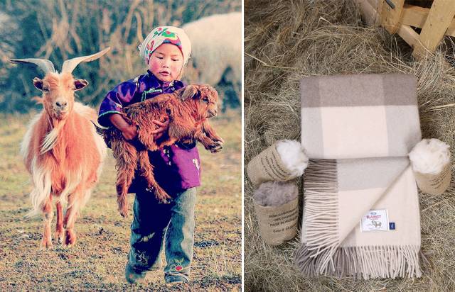 适合年轻人穿的羊绒品牌,为你量身打造优雅时尚的羊绒品牌