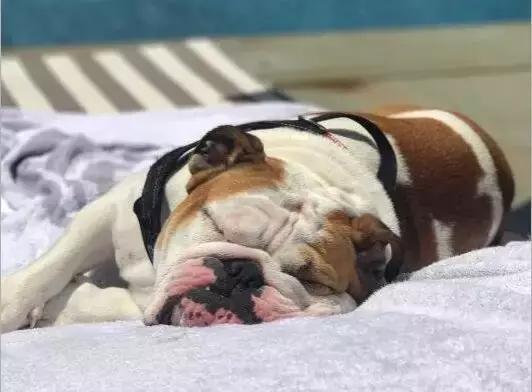 英斗劝退指南,英斗尴尬期和爆头期