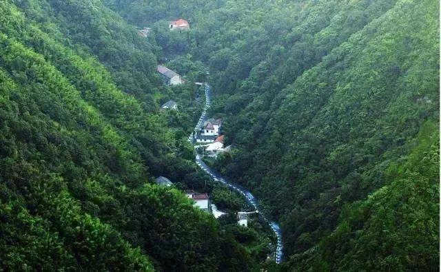 青山为伴！他在安吉龙王山留下的脚印，可绕地球一圈有余