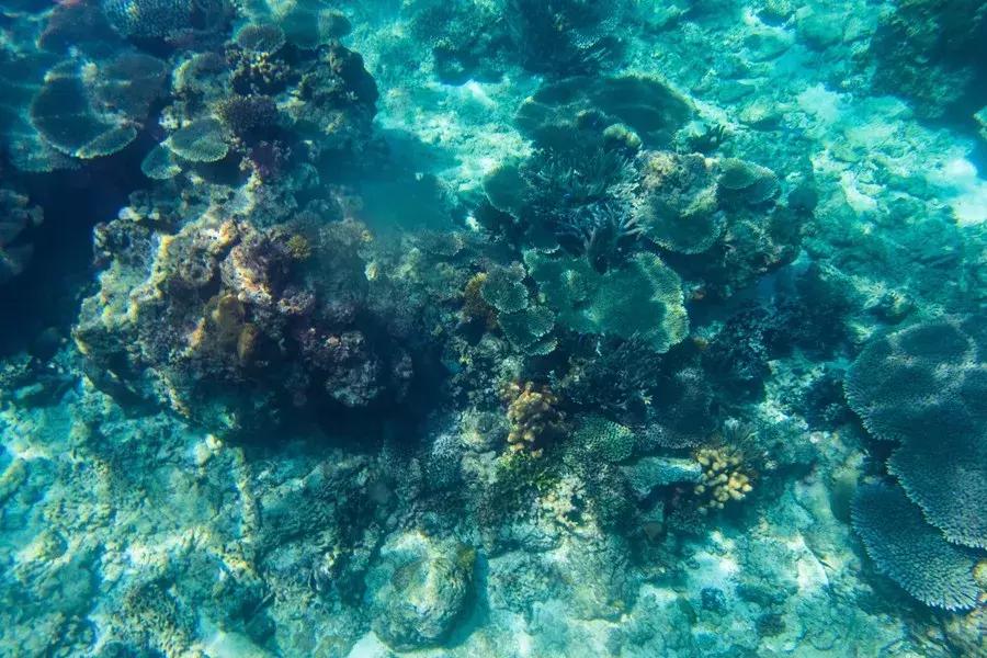 沙巴哪里适合亲子游,沙巴阳光小岛