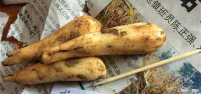 比蝴蝶兰好看好养的花,比蝴蝶兰好养的花