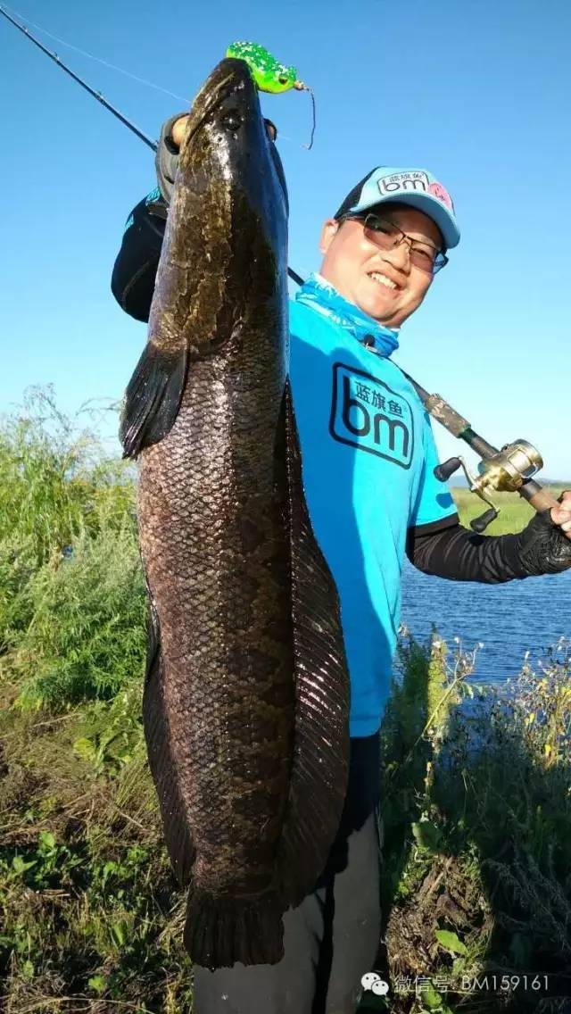 雷强教学,雷强雷蛙手法