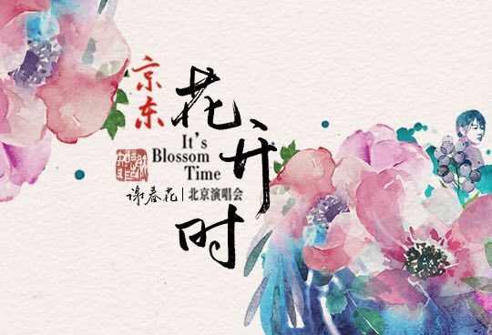 谢春花小吉他,谢春花节目里用的什么吉他