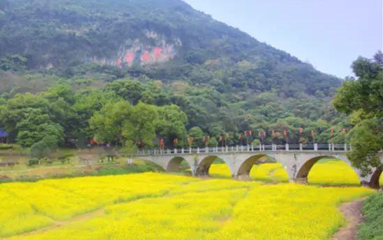 英德市特色,英德有几个特产