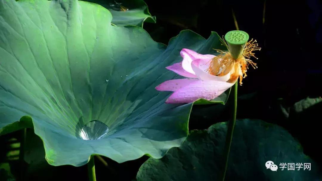 三十岁之前学儒家道家佛家,和佛家学放下过去