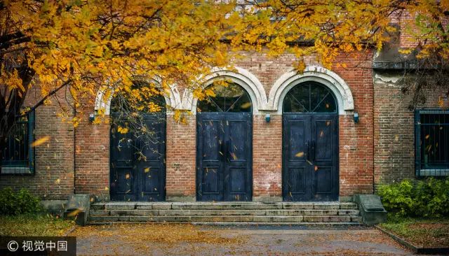 水木清华年轻的时候,水木清华天生丽质