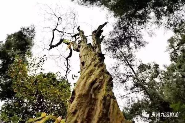 佛顶山村,佛顶山尧上古寨人多吗