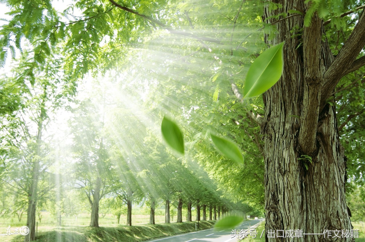 作文排比句式,教你在作文中快速写出排比句