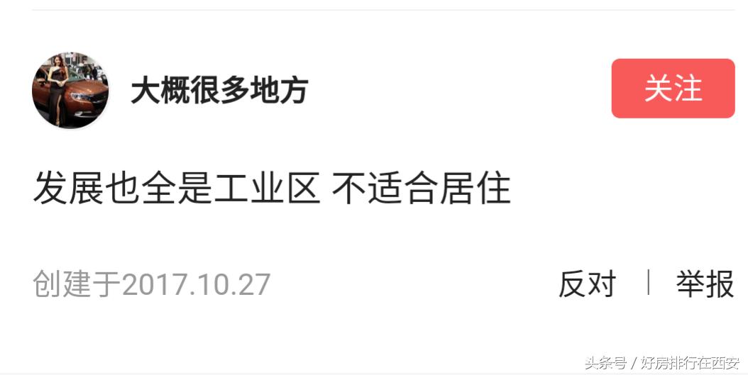 高陵滞销白菜,高陵为什么是关中白菜心