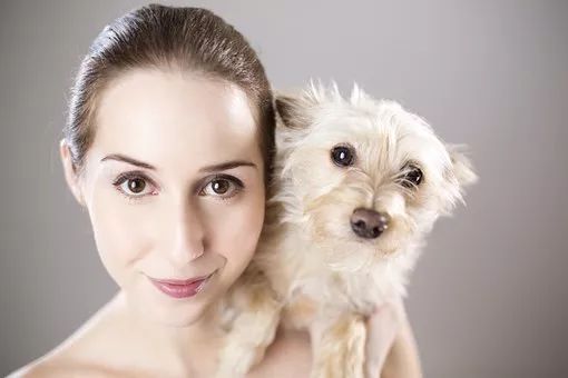 狗狗咬主人怎么办,狗狗咬主人裤子怎么办