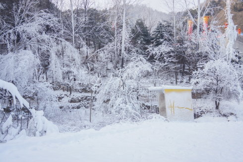 中原区有雪吗,中原雪乡在哪里