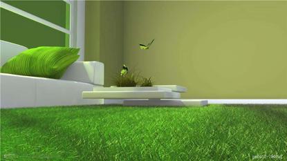 自己在家如何种草坪,自己动手铺草坪效果