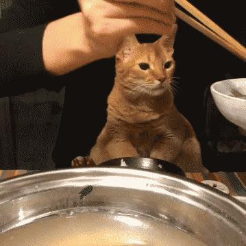 收下这份美食攻略,吃货的过年必备