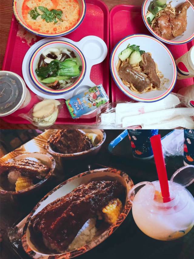 上海迪士尼吃住玩儿省钱攻略,上海迪士尼吃住行旅游攻略