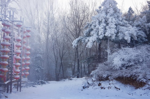 中原区有雪吗,中原雪乡在哪里