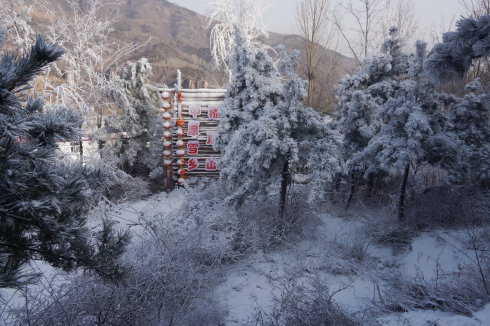 中原区有雪吗,中原雪乡在哪里