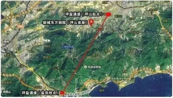 深圳太厉害了,现在深圳有多厉害