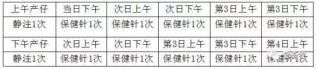 图文｜母猪的分娩与接产操作规范！