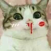 敬酒服淘宝好评,某宝推荐衣服店铺