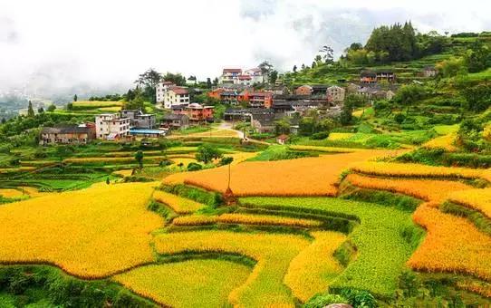 2019浙江旅行时间表,12月浙江最美旅行地排行