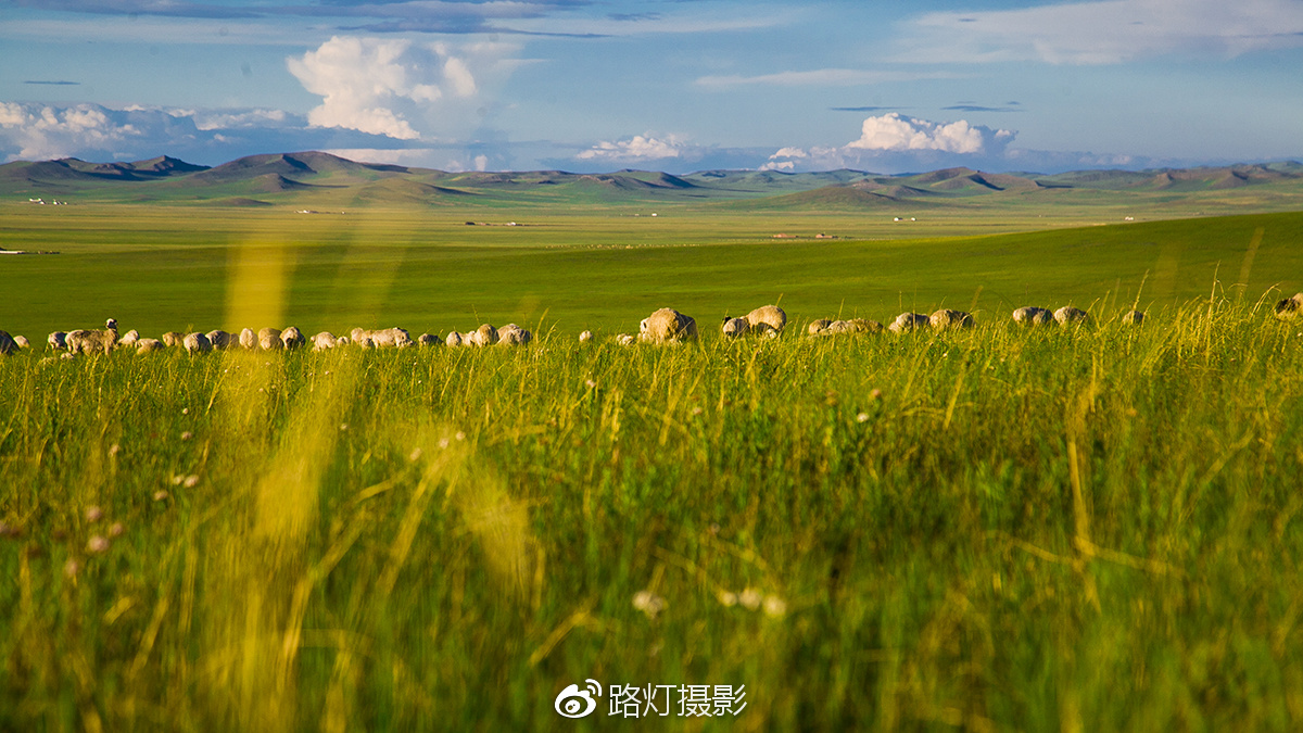 把喜欢的事做到极致诗句,能把喜欢的事做好