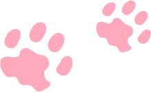 广州动物园40年前,70年代广州动物园