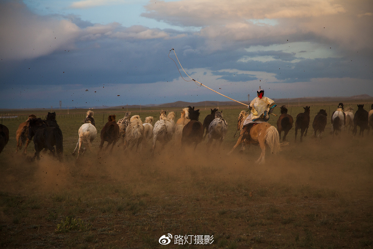 把喜欢的事做到极致诗句,能把喜欢的事做好