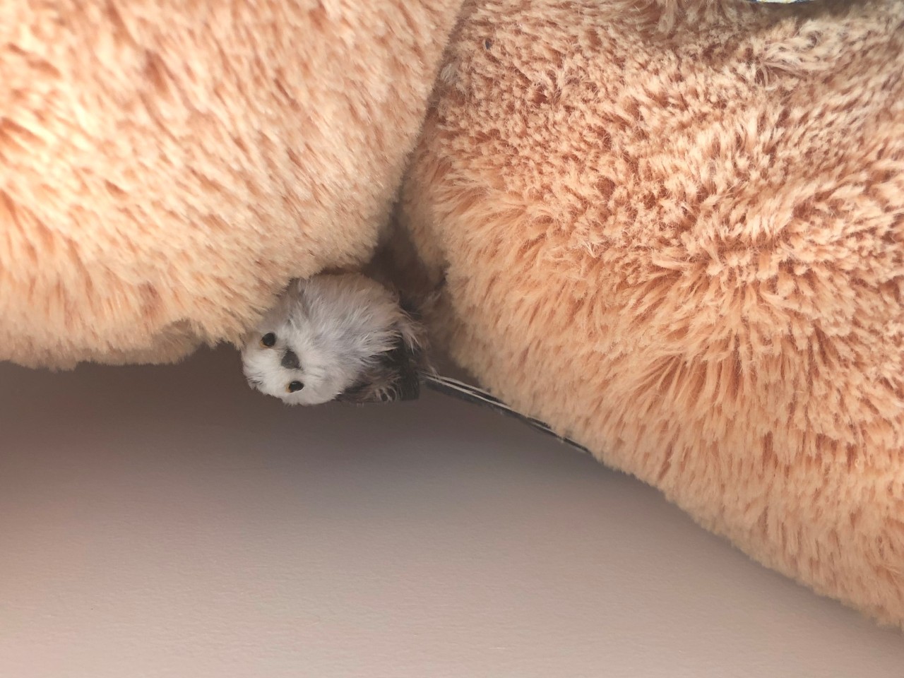 第一次闻到爱马仕大地的味道,爱马仕清新大地