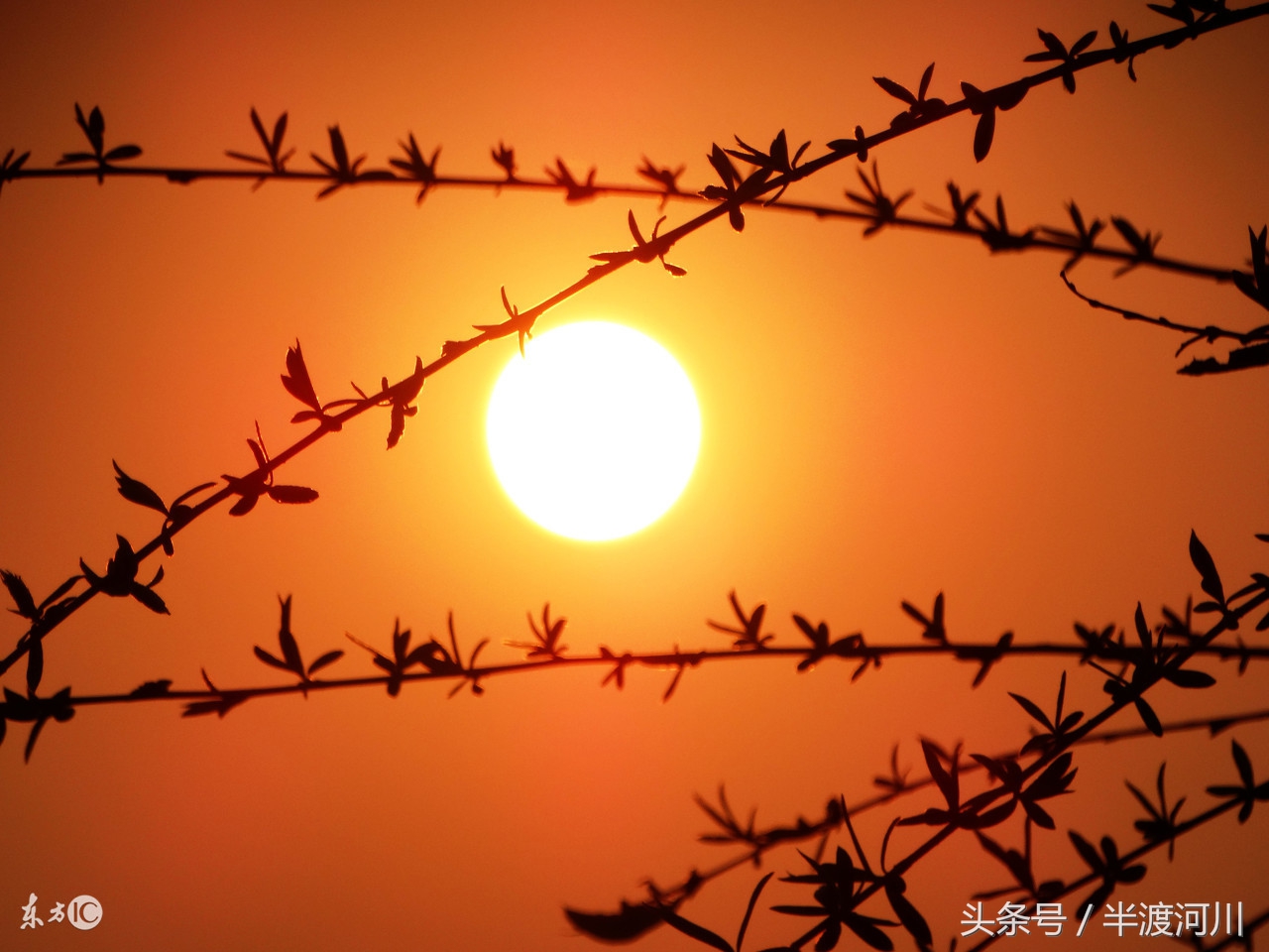 单行点影：跋涉（三）