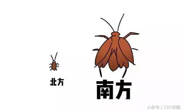 小寒成都有无寒潮降雪天气,各地降雪时间表来了