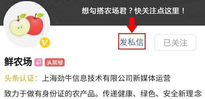 不同季节孕妇的饮食,不同月份的孕妇应该补什么