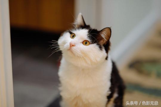 佳能85mmf1.4实图及报价,佳能85mmf1.8人像测评